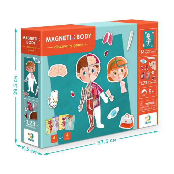 DODO TOYS - Educational Game - Magnetic Body