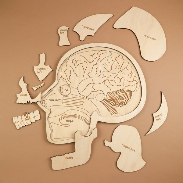 STUKA PUKA - Use Your Head! Wooden Puzzle