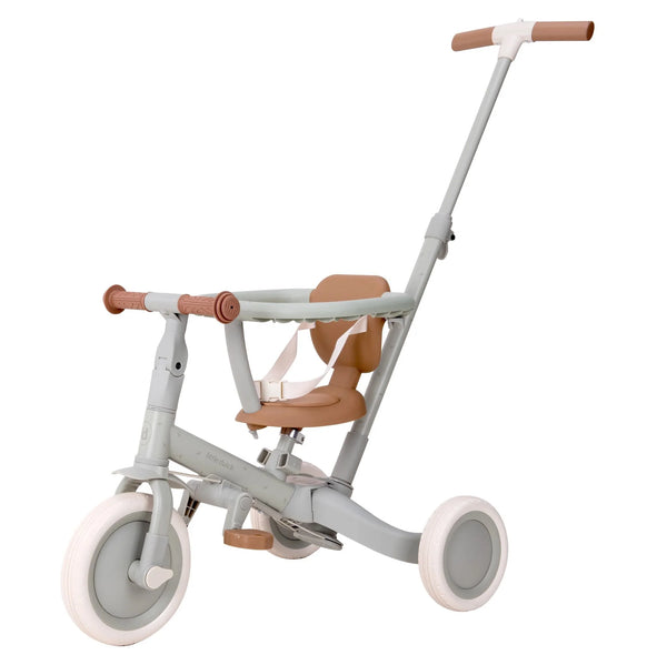 LITTLE DUTCH - 4 in 1 tricycle green