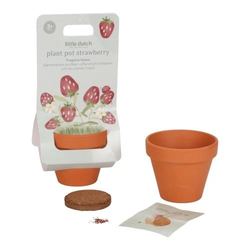 LITTLE DUTCH - Plant pot - Strawberry