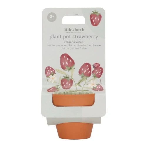 LITTLE DUTCH - Plant pot - Strawberry