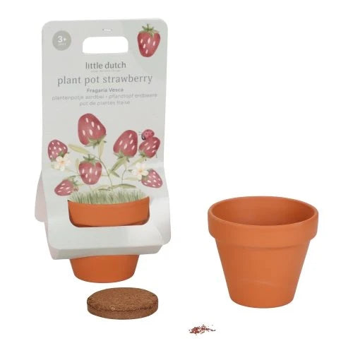 LITTLE DUTCH - Plant pot - Strawberry