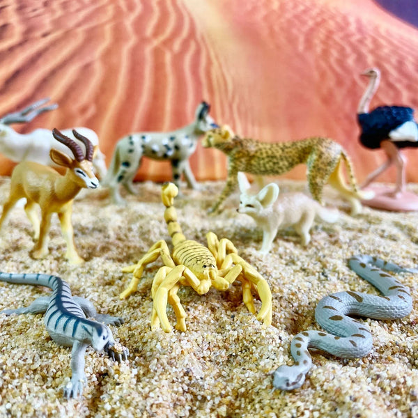 SAFARI - Sahara Desert Animals TOOB®