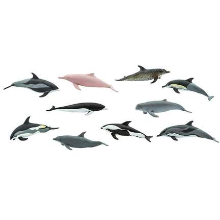 SAFARI - Dolphins TOOB