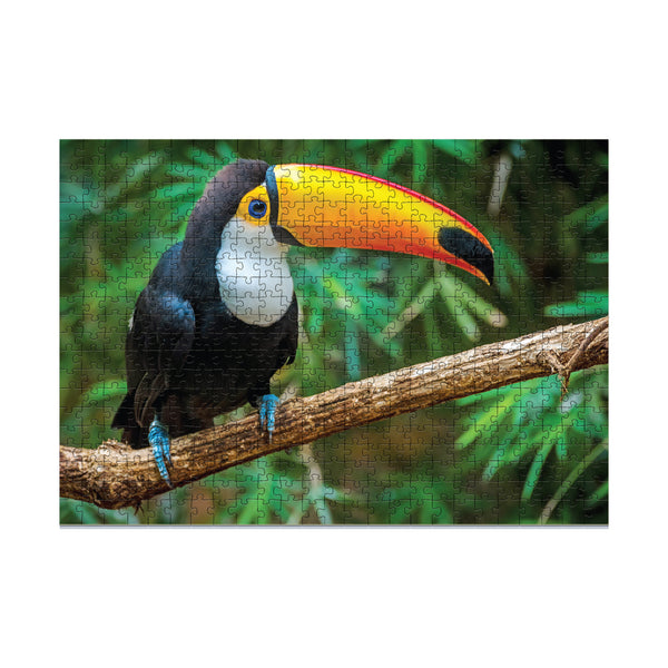 DODO TOYS - 500pcs - Puzzle - Toucan Bird Brazil