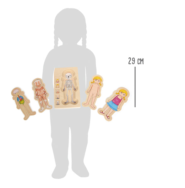 small foot - Layer Puzzle Anatomy Girl