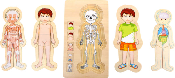 small foot - Layer Puzzle Anatomy Boy