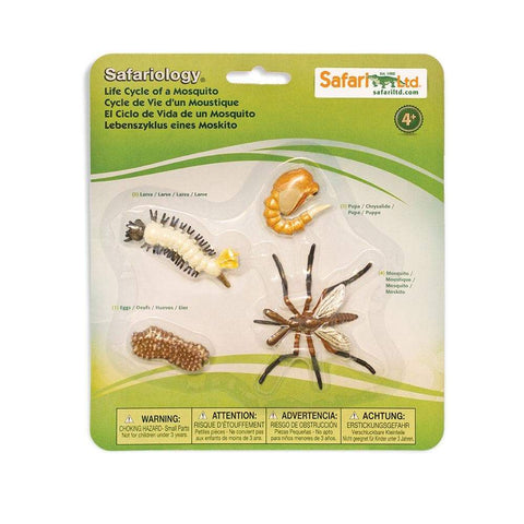 SAFARI - Life Cycle of a Mosquito