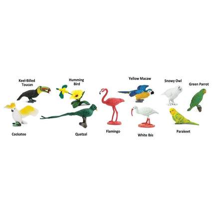 SAFARI - Exotic Birds TOOB