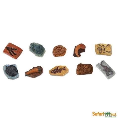 SAFARI - Ancient Fossils TOOB