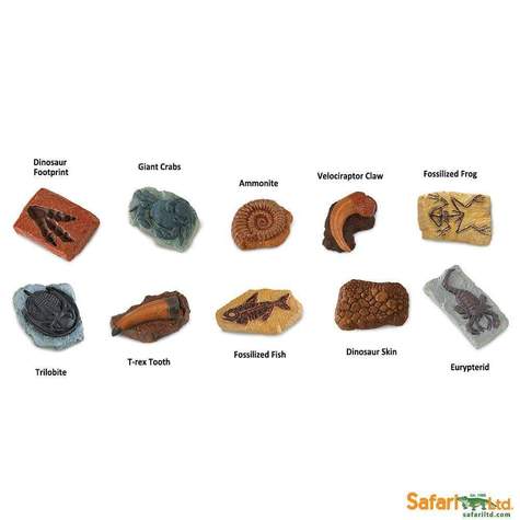 SAFARI - Ancient Fossils TOOB