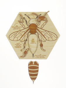 STUKA PUKA - Busy Bee Wooden Puzzle